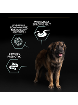 Purina Pro Plan Large Robust Optidigest, jagnięcina 14kg  + niespodzianka dla psa GRATIS!