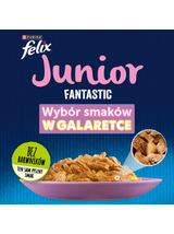 FELIX Fantastic Junior w galaretce z kurczakiem i łososiem 12x(4x85g)