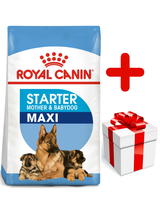 ROYAL CANIN Maxi Starter Mother&Babydog 15kg + niespodzianka dla psa GRATIS!