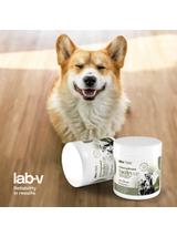 Lab-v Kaolin – wsparcie jelit i higieny jamy ustnej dla psów i kotów 200g