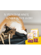 JOSERA Kitten 10kg