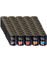 Dolina Noteci Premium dla kota Mix Smaków 60x400g