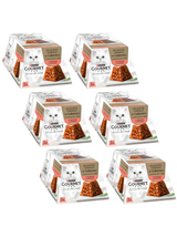 GOURMET Revelations Delikatne Kawałki w Galaretce z Łososiem 12x57g (6x2x57g)