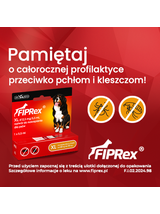 Fiprex XL, 412,5 mg/5,5 ml, roztwór do nakrapiania dla psów+ TRIXIE Szczypce do usuwania kleszczy 9cm