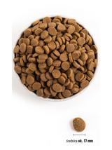 ACANA  Adult Large Breed 17kg