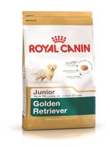 ROYAL CANIN Golden Retriever Puppy 12kg +  niespodzianka dla psa GRATIS!