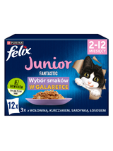FELIX Fantastic Junior w galaretce; 72x85g