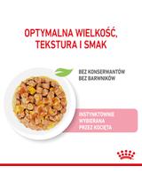 ROYAL CANIN Kitten Sterilised 12x85g karma mokra w galaretce dla kociąt do 12 miesiąca życia, sterylizowanych