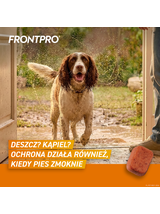 Frontpro tabletki na pchły i kleszcze L 68mg 10-25kg 1 TABLETKA
