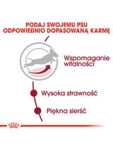 ROYAL CANIN Medium Adult 7+ 15kg karma sucha dla psów starszych od 7 do 10 roku życia, ras średnich + niespodzianka dla psa GRATIS!