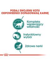 ROYAL CANIN  Instinctive +7 12x85g w sosie karma mokra dla kotów starszych, wybrednych + Royal Canin piłka dla kota GRATIS!!!