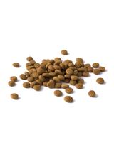 PURINA Cat Chow Urinary Karma bogata w kurczaka 1,5kg