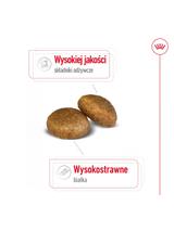 ROYAL CANIN®   Maxi Adult 14,8 kg karma sucha dla psów dorosłych, do 5. roku życia, ras dużych Opakowanie uszkodzone (8611,9387)  !!!!