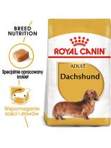 ROYAL CANIN Dachshund karma sucha dla psów dorosłych rasy jamnik  500g
