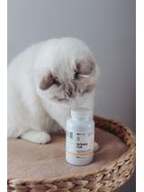 Lab-v Urinary Cat – Wsparcie układu moczowego dla kotów 90 kapsułek