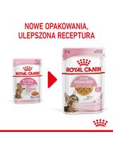 ROYAL CANIN Kitten Sterilised 12x85g karma mokra w galaretce dla kociąt do 12 miesiąca życia, sterylizowanych