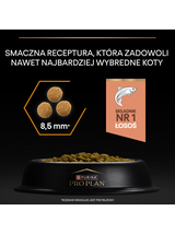 PRO PLAN Adult Derma Care Bogata w Łososia Sucha karma dla kota 10kg