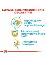 ROYAL CANIN Labrador Retriever Puppy 12kg + niespodzianka dla psa GRATIS!
