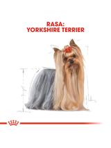 ROYAL CANIN Yorkshire Terrier Adult 1,5kg karma sucha dla psów dorosłych rasy yorkshire terrier + niespodzianka dla psa GRATIS!