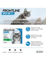 Frontline Spot On Kot dla kotów 3 x 0.5 ml
