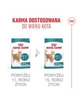 ROYAL CANIN Ageing Sterilised 11+ 4kg karma sucha dla kotów dojrzałych po 11 roku życia, sterylizowanych