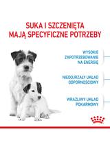 ROYAL CANIN Mini Starter Mother & Babydog 1kg karma sucha dla suk w ciąży i okresie laktacji oraz szczeniąt, od 4 do 8 tygodnia, ras małych  + niespodzianka dla psa GRATIS!