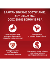 PURINA ONE Junior Medium/Maxi Karma dla szczeniąt bogata w kurczaka z ryżem 4x2,5 kg