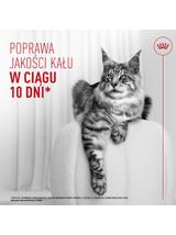 ROYAL CANIN  Digestive Care Airlift 85g
