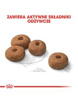 ROYAL CANIN CCN Maxi Sterilised 12kg karma sucha dla psów dorosłych, ras dużych, sterylizowanych