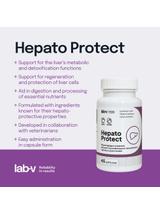 Lab-v Hepato Protect – Wspomaganie funkcji wątroby dla psów i kotów 45 kapsułek