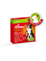 FIPREX DUO M 134 mg + 120,6 mg roztwór do nakrapiania dla psów