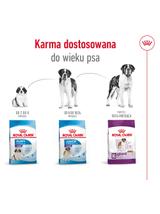 ROYAL CANIN Giant Adult 15kg karma sucha dla psów dorosłych, od 18/24 miesiąca życia, ras olbrzymich