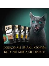 SHEBA Delicacy Fine Flakes Drobiowe Smaki saszetki 80x85 g – mokra karma pełnoporcjowa dla dorosłych kotów, w galaretce (kawałki z: kaczką, kurczakiem, drobiem, indykiem)