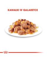 ROYAL CANIN  Instinctive 12x85g w galaretce karma mokra w galaretce dla kotów dorosłych, wybrednych