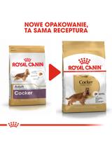 ROYAL CANIN Cocker Spaniel Adult 11,4kg karma sucha dla psów dorosłych rasy cocker spaniel/ opakoanie uszkodzone (7683)