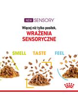 ROYAL CANIN Sensory Feel/Taste/Smell 85g