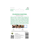 Pelargonia rabatowa Gama F1 - łososiowa