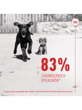 Royal Canin Puppy Immunity & Digestion Chews 100g
