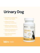 Lab-v Urinary Dog – Wsparcie przy zakażeniu dróg moczowych u psów 45 kapsułek