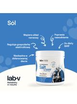 Lab-v Sól niejodowana – wsparcie równowagi elektrolitowej i nawodnienia 400 g
