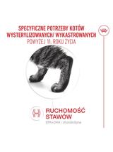 ROYAL CANIN Ageing Sterilised 11+ 4kg karma sucha dla kotów dojrzałych po 11 roku życia, sterylizowanych