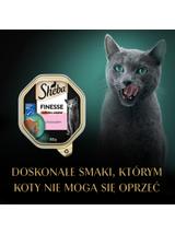 SHEBA Finesse tacka 44x85 g – mokra karma pełnoporcjowa dla dorosłych kotów, z łososiem, w pasztecie