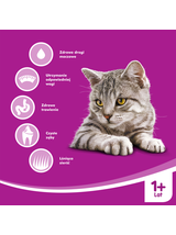 WHISKAS Sterile 14kg - sucha karma dla dorosłego kota po zabiegu kastracji, z pysznym kurczakiem / Opakowanie uszkodzone (9554)