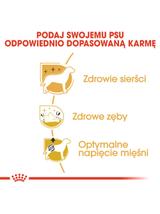 ROYAL CANIN Poodle Adult 1,5kg karma sucha dla psów dorosłych rasy pudel miniaturowy/ opakowanie uszkodzone (7157)!!!!