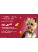Advantix - dla psów do 4kg (4 pipety x 0,4ml)+ Cestal Dog Plus tabletki na odrobaczanie psów 2 sztuki