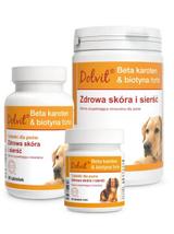 Dolvit Beta karoten & biotyna forte 2x90 tabletek