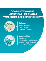 Purina One Cat Adult Karma z wołowiną dla kota 750g