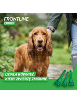 FRONTLINE Combo Spot -On Pies M 10-20kg (pipeta 3x 1,34ml)