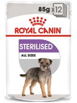 ROYAL CANIN CCN Sterilised 12x85g karma mokra - pasztet dla psów dorosłych, sterylizowanych