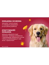 Advantix - dla psów 25-40kg (pipeta 4ml)